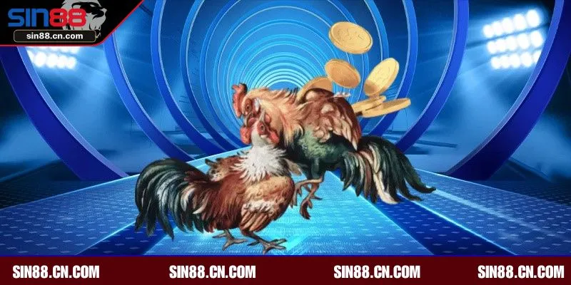 Đá gà Thomo mang đến trải nghiệm hấp dẫn, thú vị 