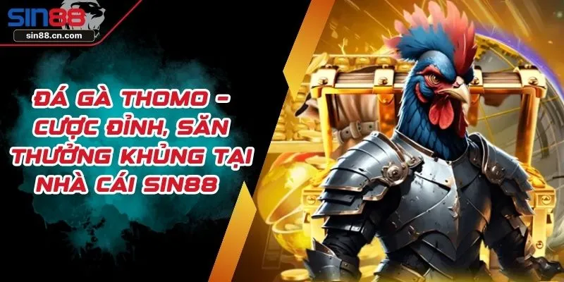 Đá Gà Thomo – Cược Đỉnh, Săn Thưởng Khủng Tại Nhà Cái SIN88 